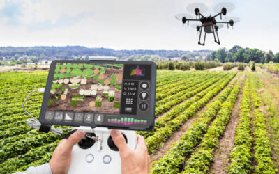 Intelligence Artificielle et Agriculture Durable en Afrique : Horizon Proche ou Simple Utopie ?